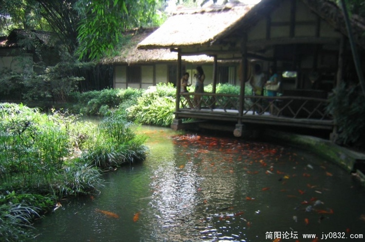IMG_0463aa.jpg
