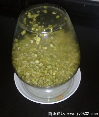 201008025408.jpg