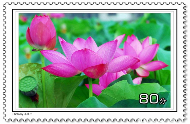 DSC_0001 1 拷贝.jpg