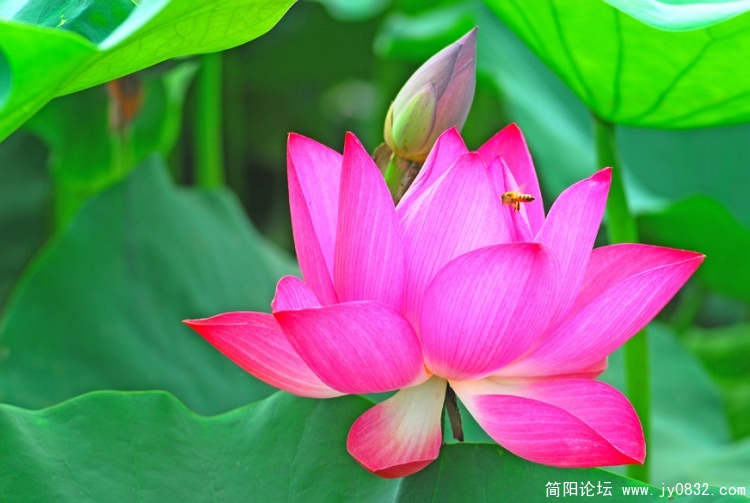 DSC_0004 副本.jpg