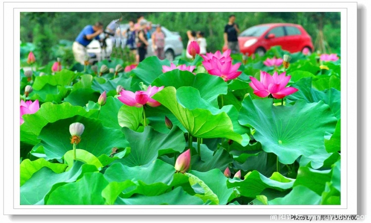 DSC_0009 0 拷贝.jpg