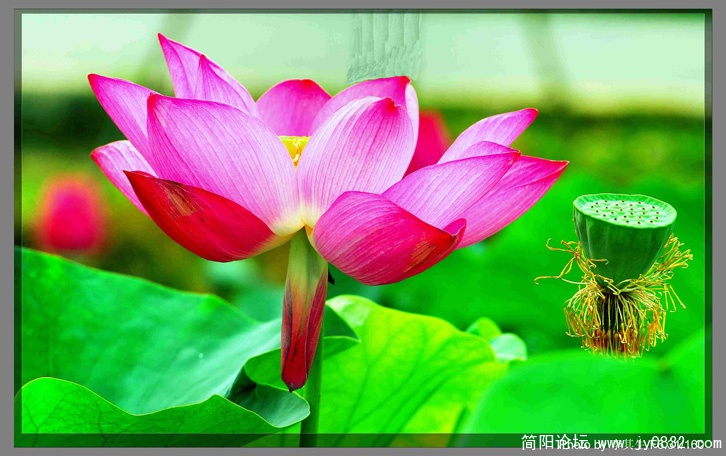 DSC_0116 0 拷贝.jpg