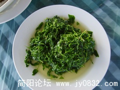 文文菜