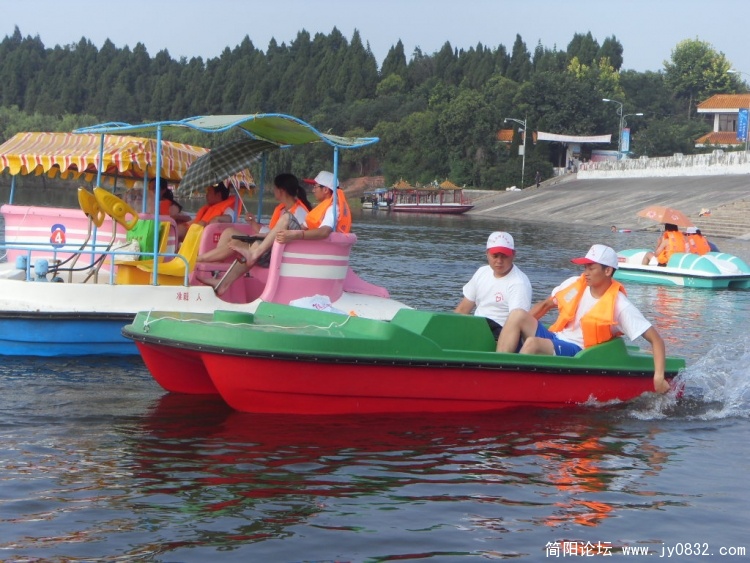 红掌拨清波