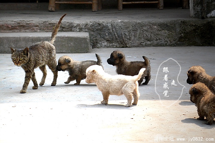 跟着感觉走01.jpg