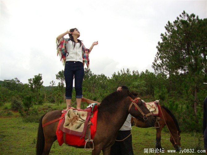 马背上.jpg