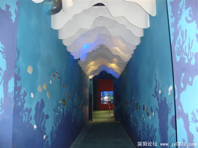 蓝色海洋.jpg