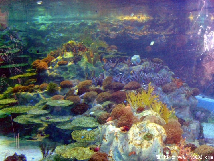 S73R5862.JPG