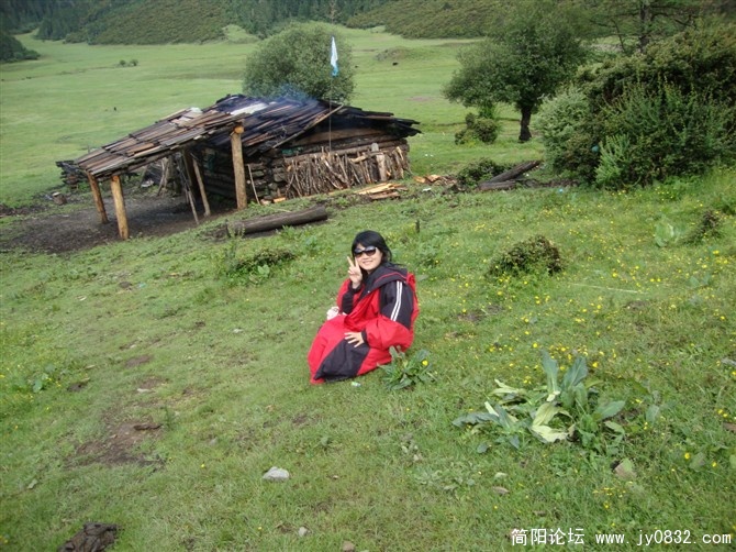 小草原.jpg