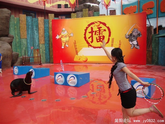 和海狮菲丽做游戏.jpg