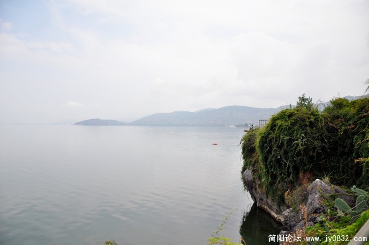 yujidao (1).jpg