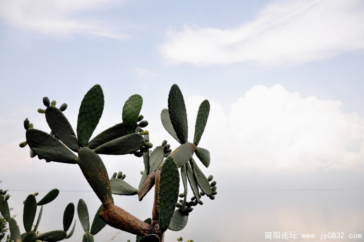 玉几岛 (15).jpg