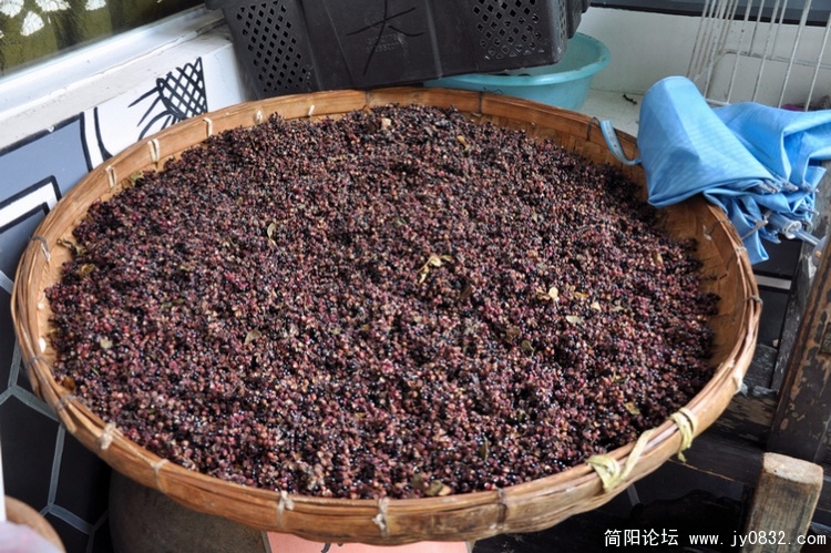 玉几岛 (47).jpg