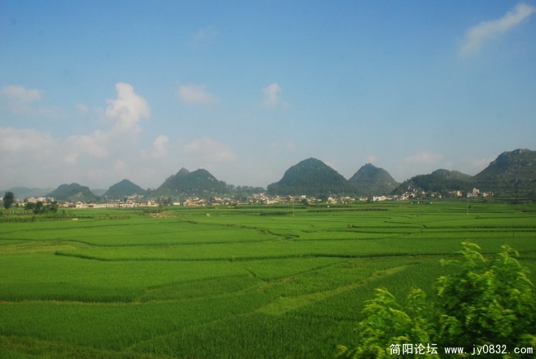 DSC_0159.jpg