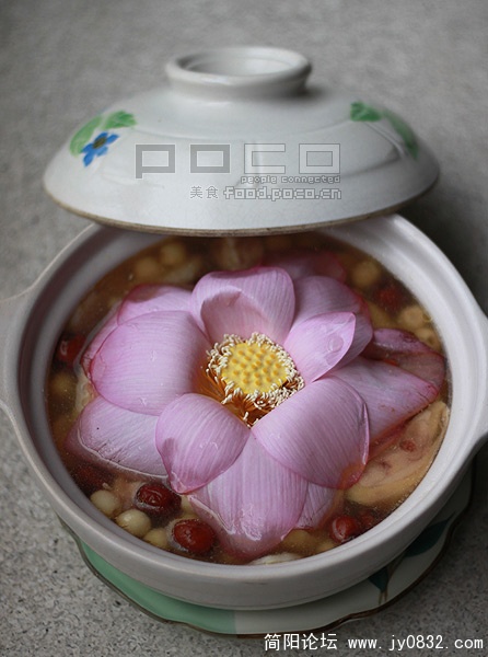 荷花鸡.jpg