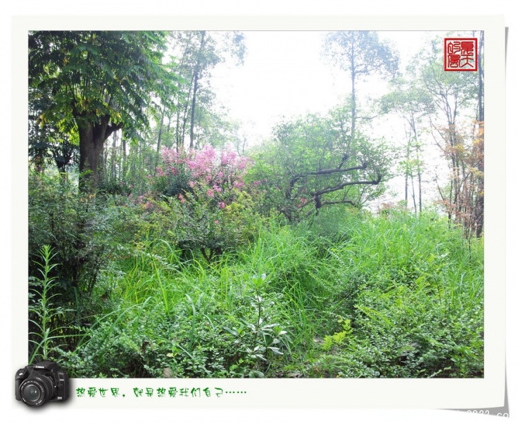 照片0110.jpg