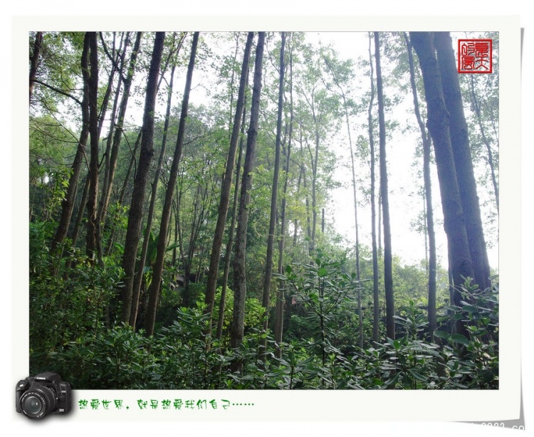 照片0108.jpg