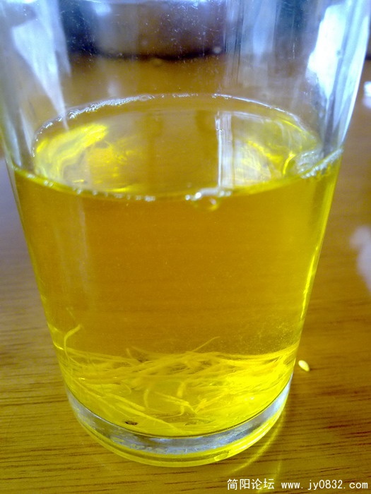 20100805277.jpg