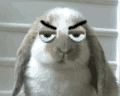 1001091338b111da7c6755c086.gif