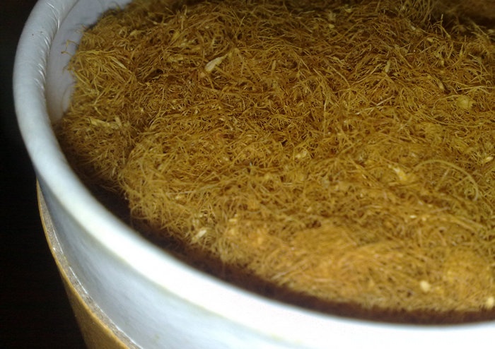 201008125575.jpg