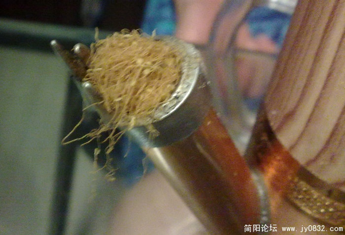 201008125578.jpg