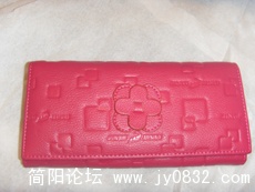 SDC17209.JPG
