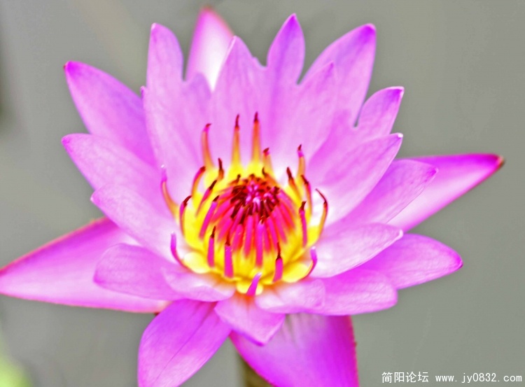 DSC_0312 拷贝.jpg