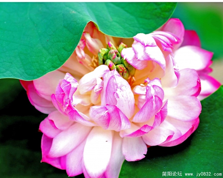 DSC_0311 拷贝.jpg