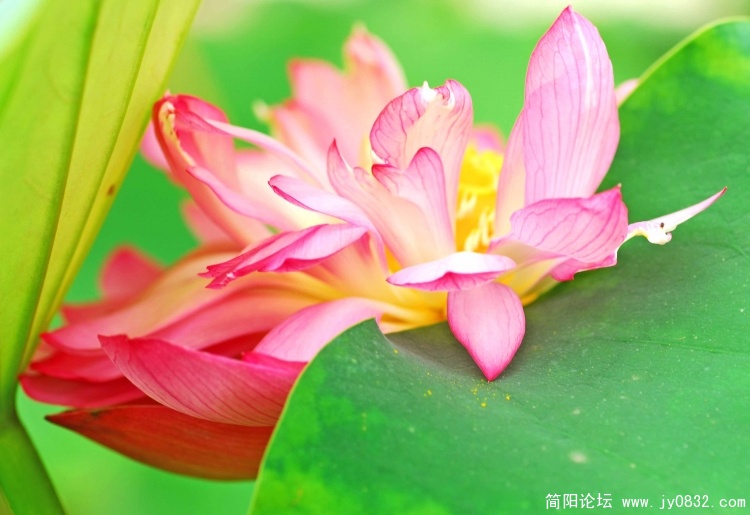 DSC_0345 拷贝.jpg