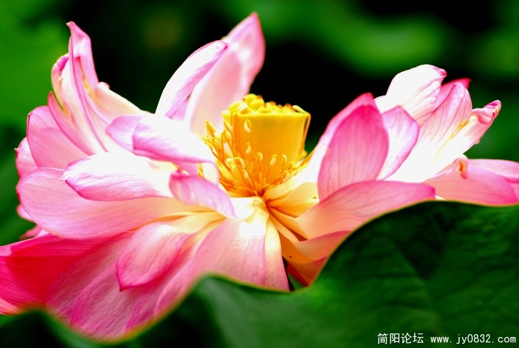 DSC_0358 拷贝.jpg