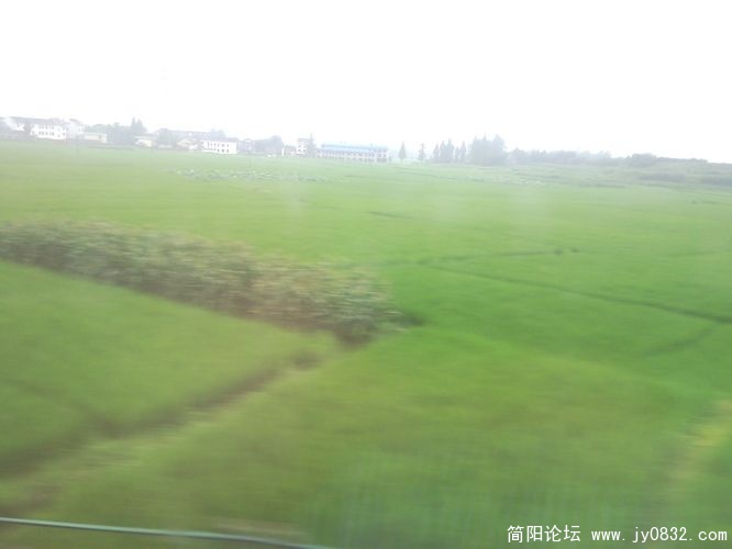 SNC00010.jpg