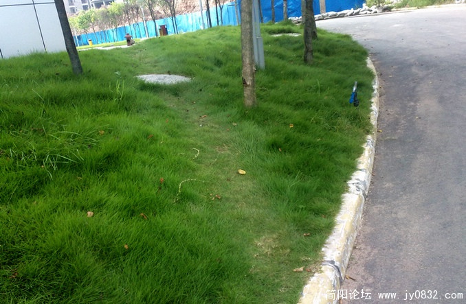 201008175637.jpg