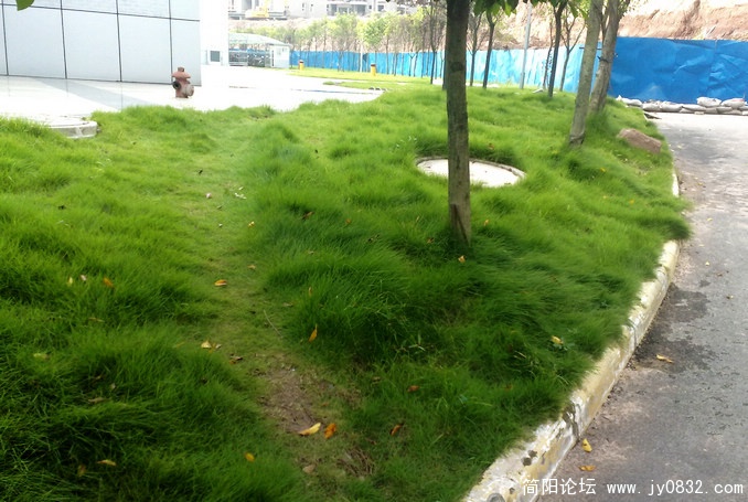 201008175638.jpg
