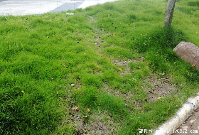 201008175639.jpg