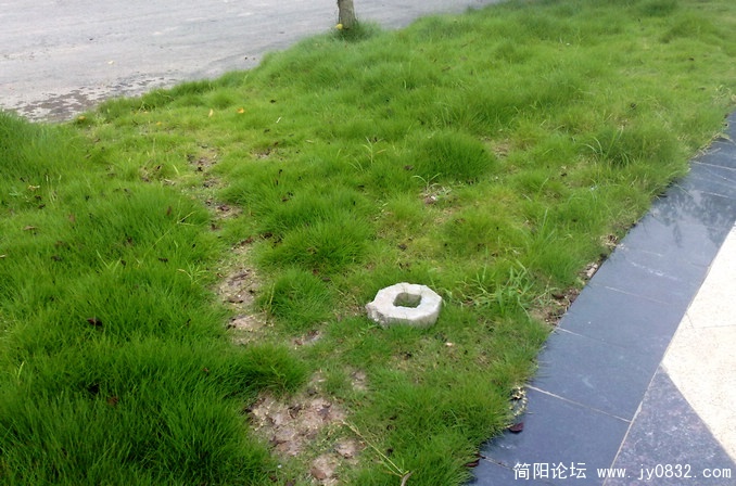 201008175640.jpg