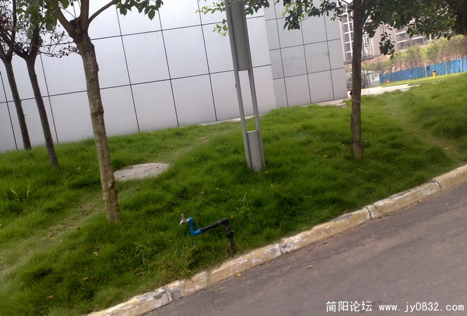 201008175643.jpg