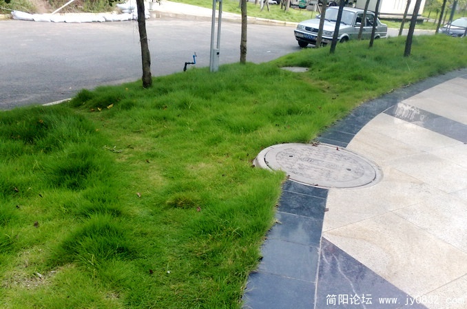 201008175641.jpg