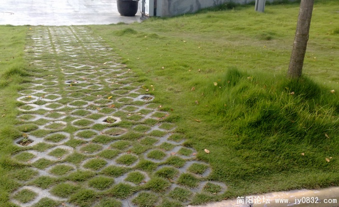 201008175646.jpg