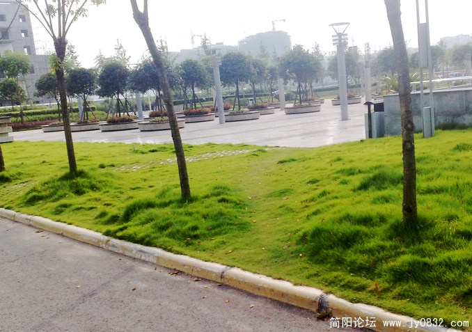201008175644.jpg
