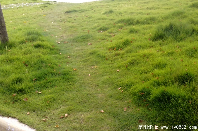 201008175645.jpg