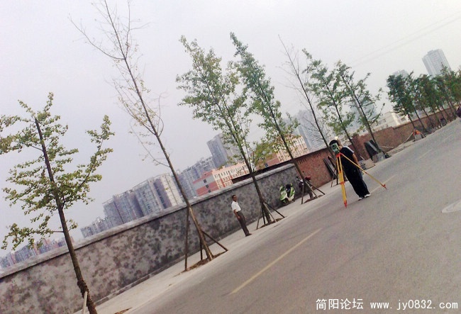 201008175647.jpg