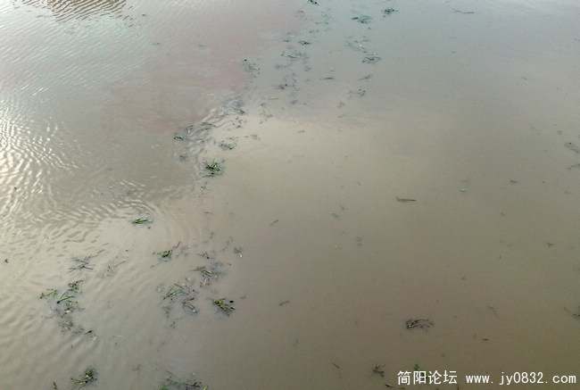 201008175653.jpg