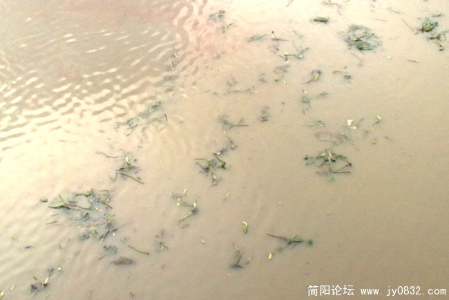 201008175655.jpg