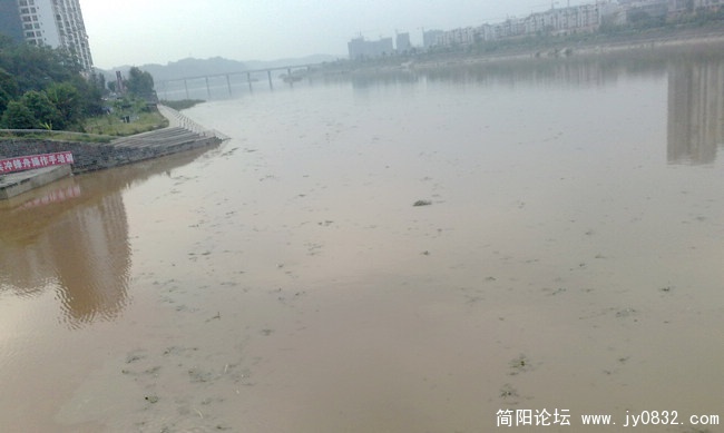201008175656.jpg