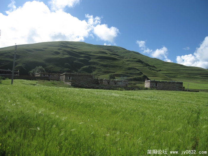 nEO_IMG_新都桥 (216).jpg