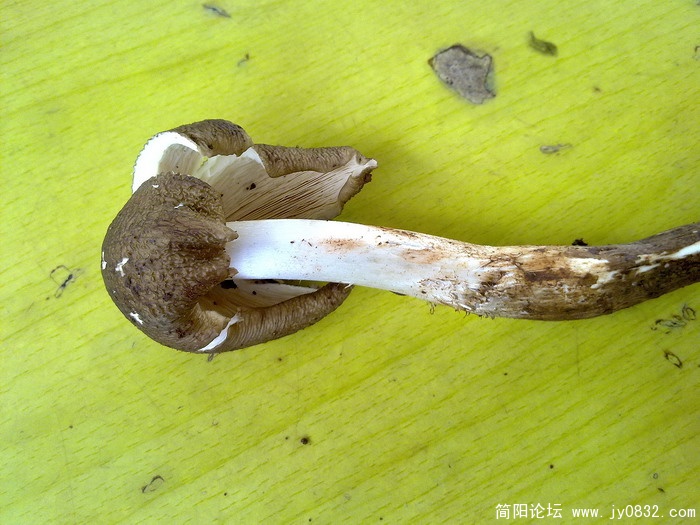 20100816304.jpg