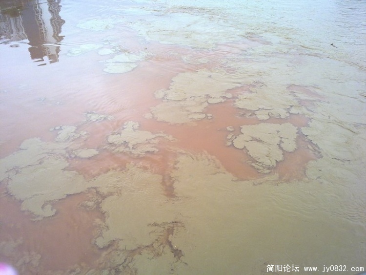 20100820077.jpg