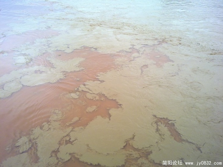 20100820078.jpg