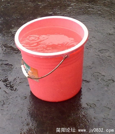 201008215699.jpg