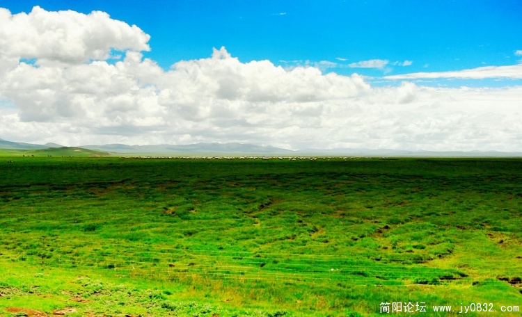 DSC_0055  拷贝.jpg
